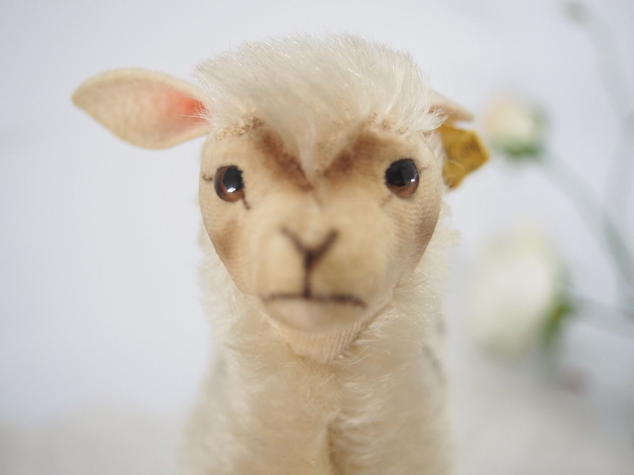 シュタイフ☆Llama 17cm オールID's完品☆リャマ/ラマ☆STEIFF - メルカリ