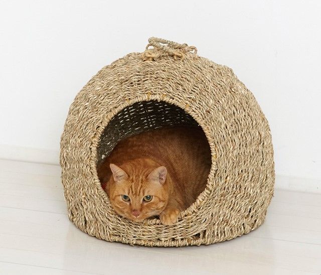 特大ＳＡＬE キャットハウス 猫用 クッション ちぐら 中 かご ペット 猫 ねこ ペット用品 おしゃれ かわいい おしゃれ 休憩 室内用ペットハウス ペットちぐら 猫ちぐら