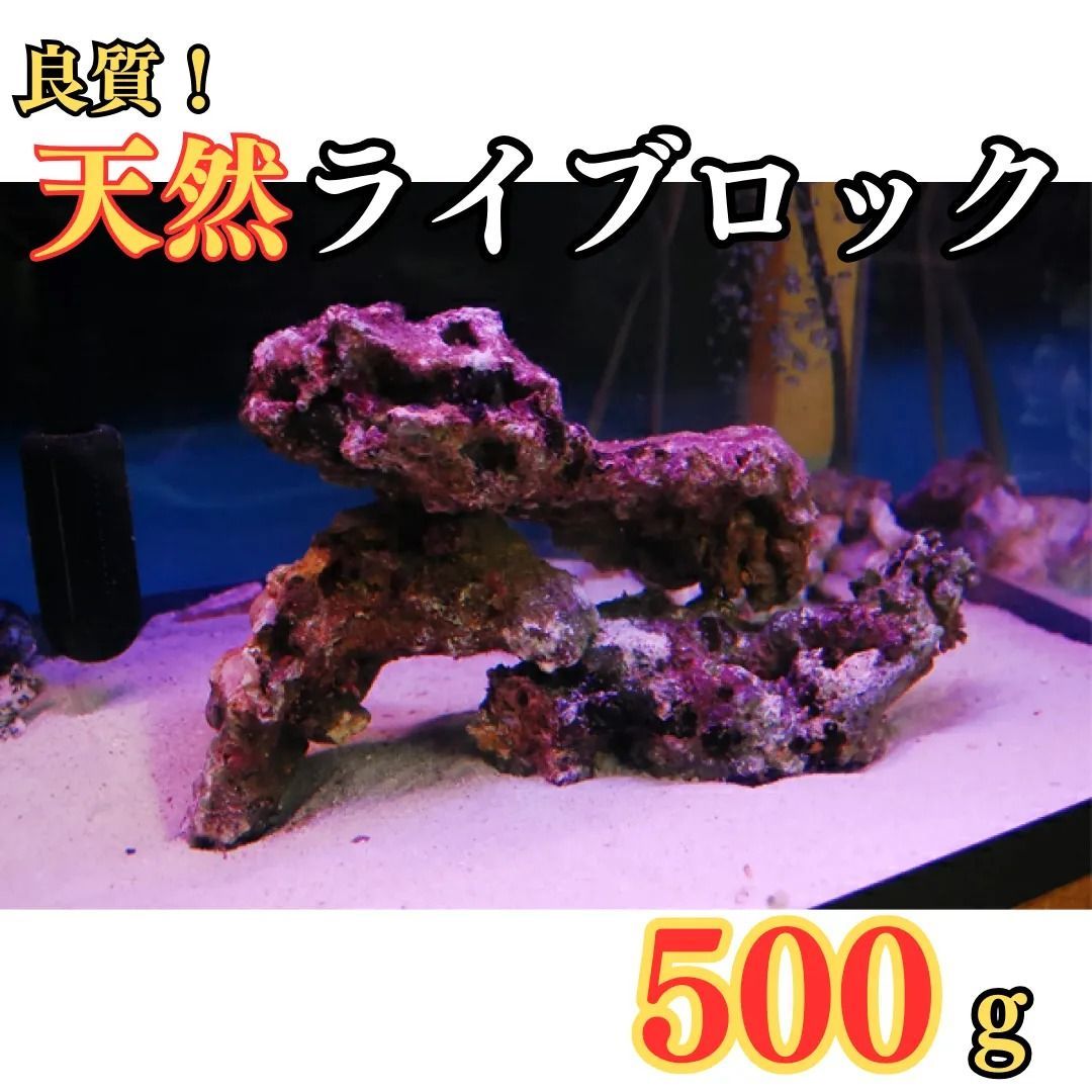 天然サンゴ石 中型 水槽用レイアウトライブロック