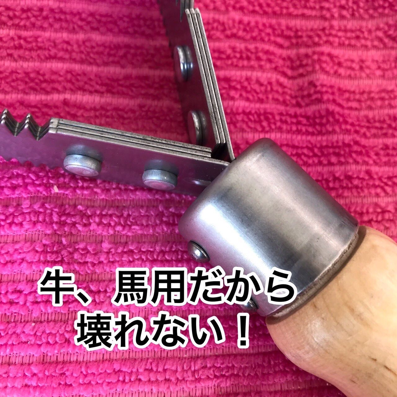 犬のトリミングにも 大2本で