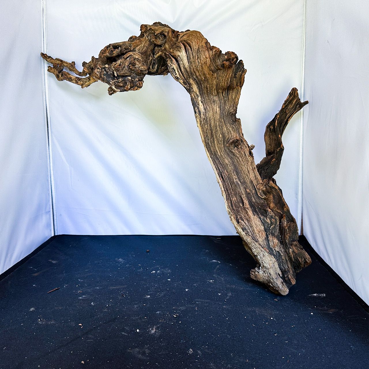 ディープホーンウッド|Deep