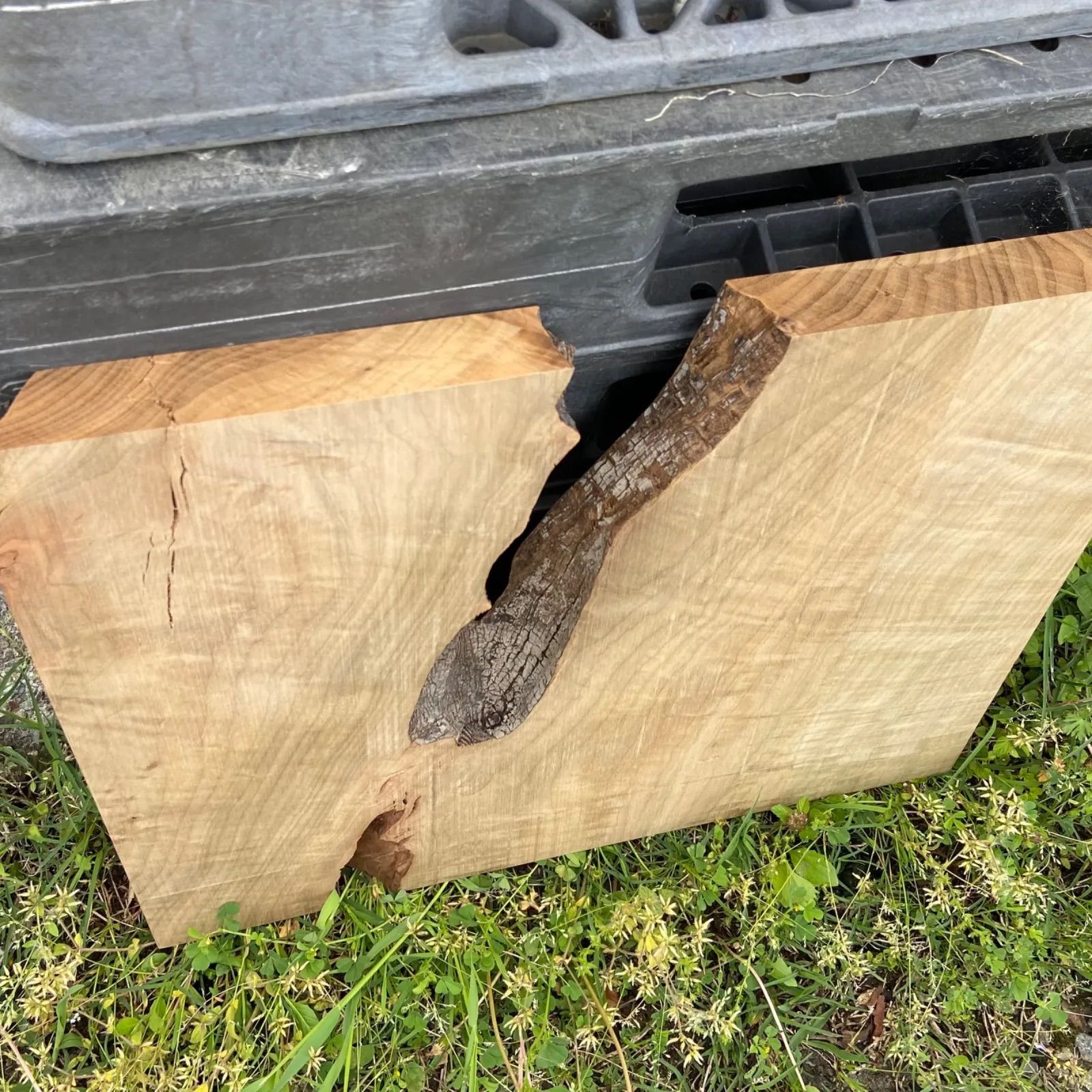 神代クス 木材 楠 無垢材 銘木 木工作品 手作り家具 インテリア