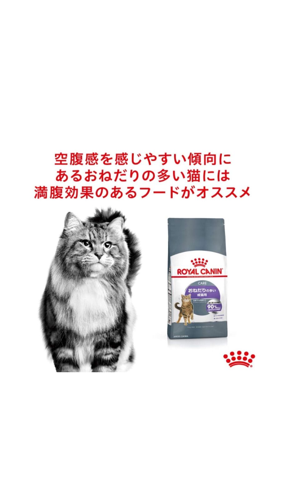 ロイヤルカナン　猫　おねだりの多い成猫用　ＦＣＮ　アペタイト　コントロール　２ｋｇ 