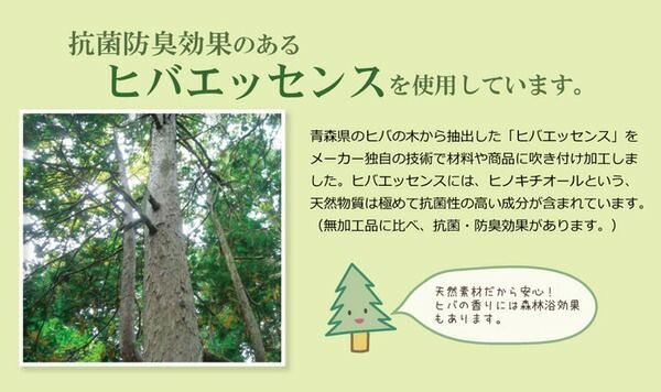 江戸間6畳