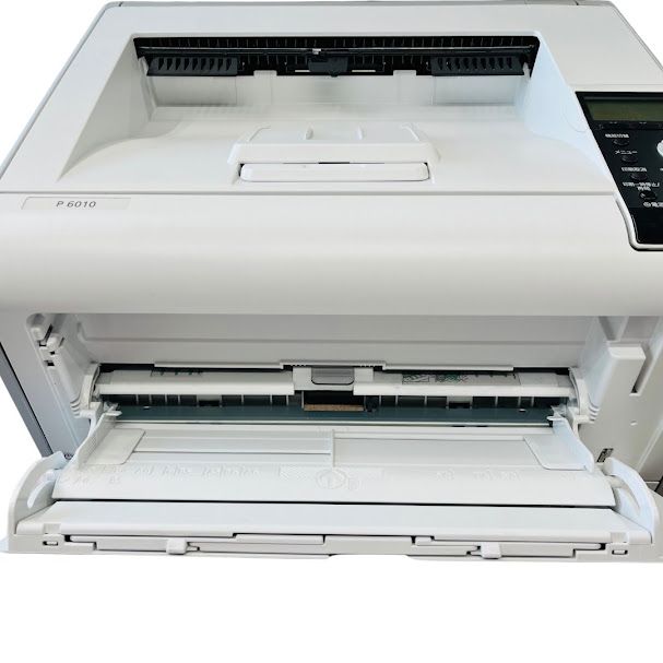 P6010