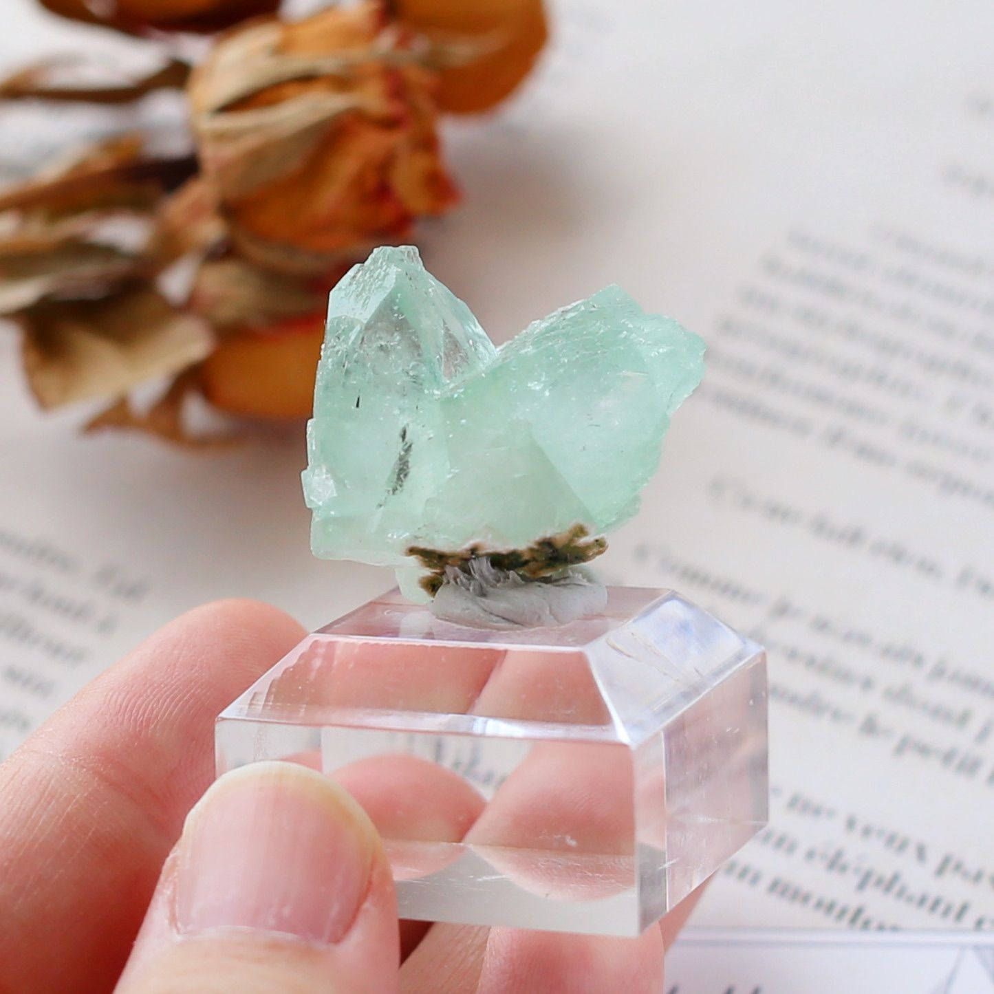 ★特選一石★希少☆強力な浄化の石【極上アポフィライト『魚眼石』結晶ポイント】❤️ ☆特選一石☆希少☆強力な浄化の石【極上アポフィライト『魚眼石