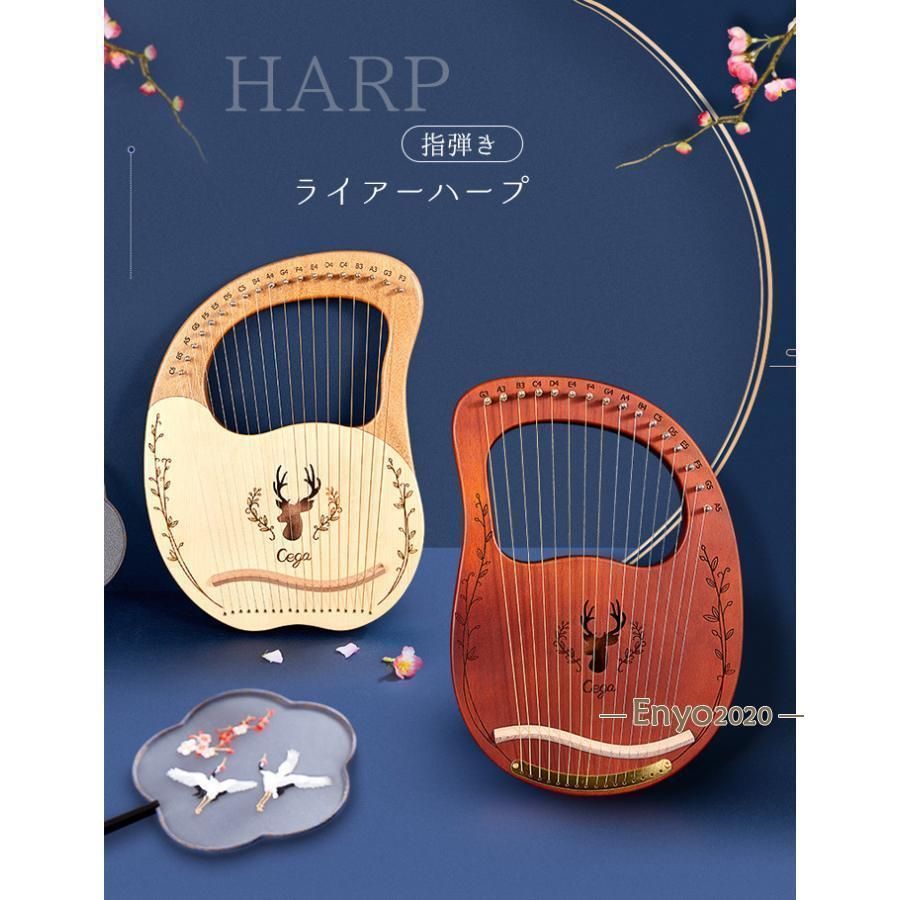 セット 入門楽器