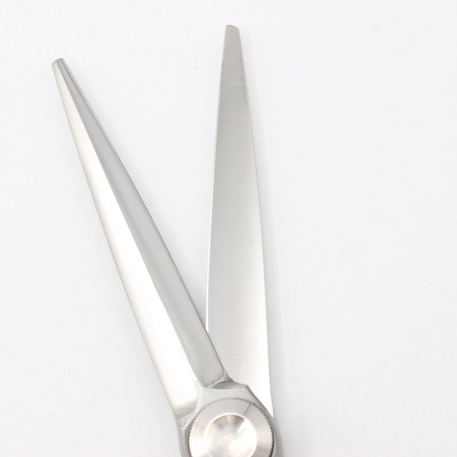 フォルティシモ