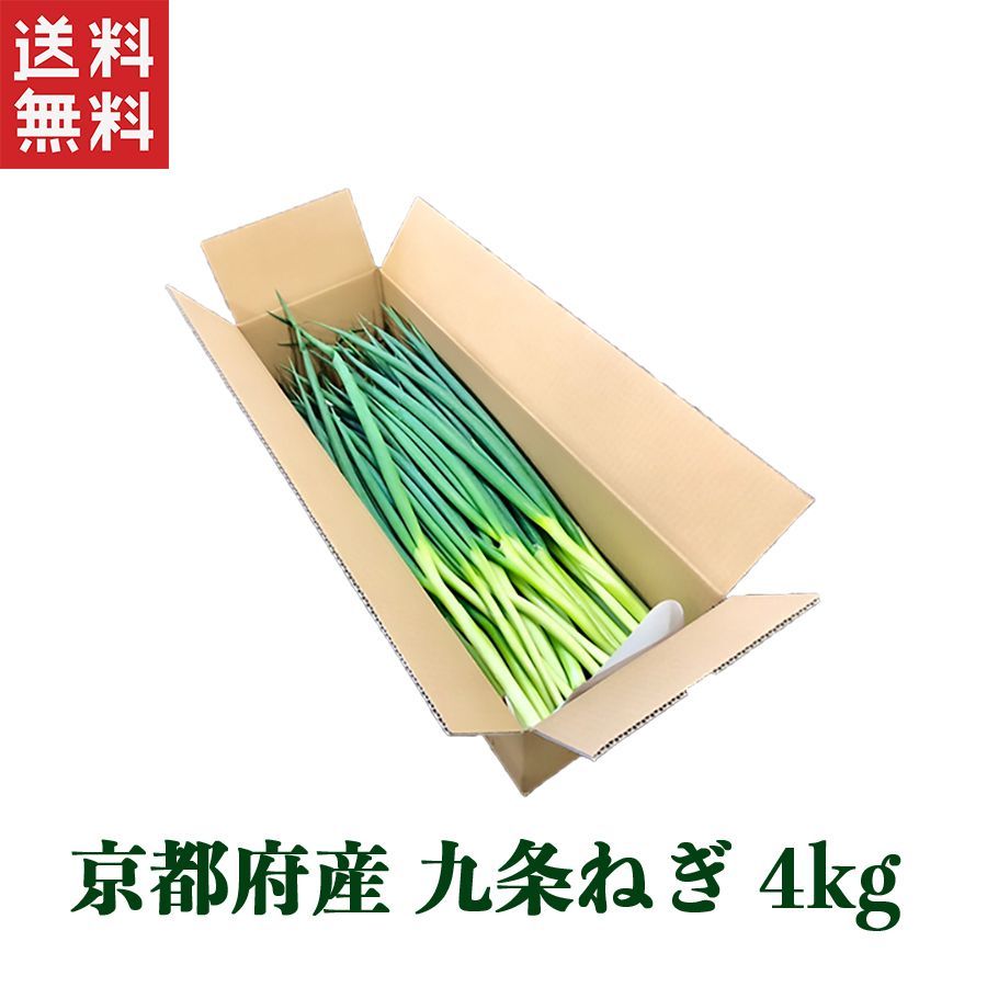 メーカー直送 京都府産こと京都 九条ねぎ4kg 根切り原体バラ