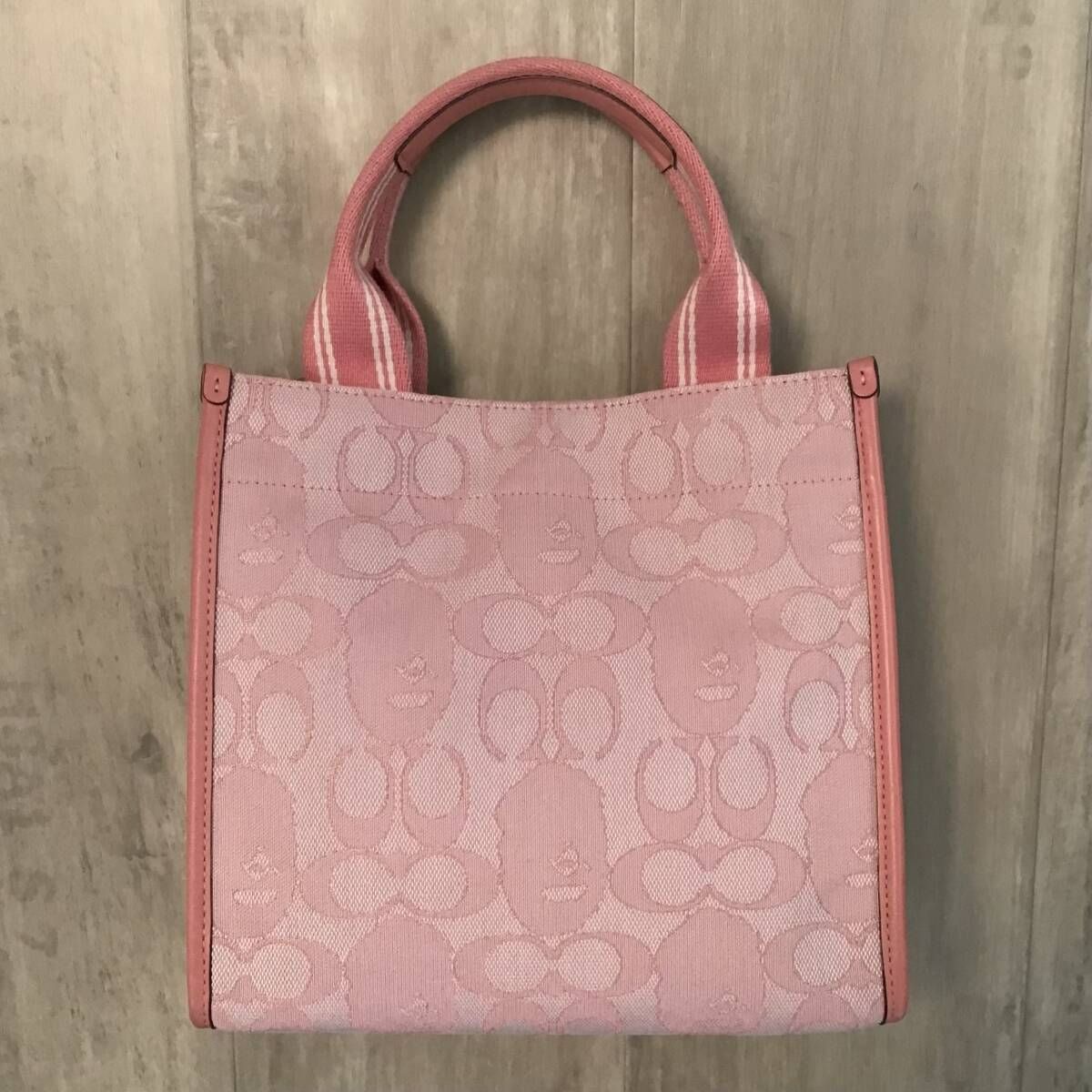 COACH × BAPE CANVAS TOTE BAG a bathing ape エイプ ベイプ ア