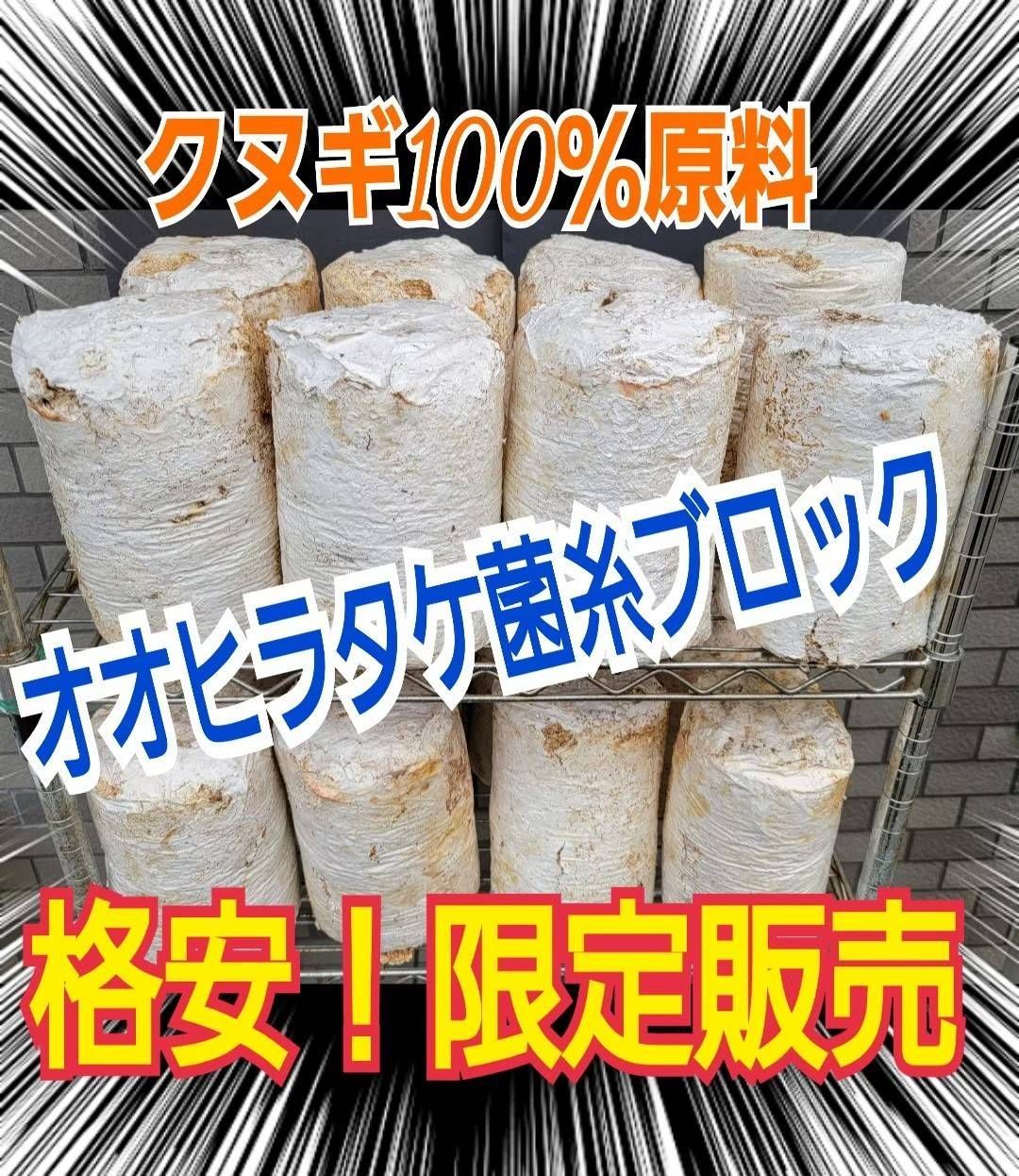 8個セット】オオヒラタケ菌糸ブロック 限定販売！ クワガタの産卵木になります！カブトムシ幼虫の栄養強化にも！ - メルカリ