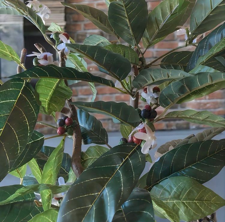 光触媒 人工観葉植物 ウォールグリーン フェイクグリーン コーヒーの木