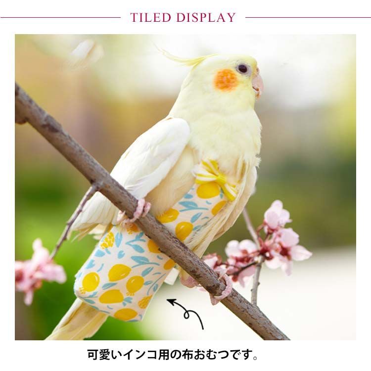 インコ おむつ 鳥 おむつ フライトスーツ 小鳥 鳥用おむつ かわいい リボン付き ハーネス 小鳥 服 鳥服 インコの服 飛行服 インコ用おむつ インコハーネス  セキセイインコ ボタンインコ オカメイ#xsp2435 メルカリ