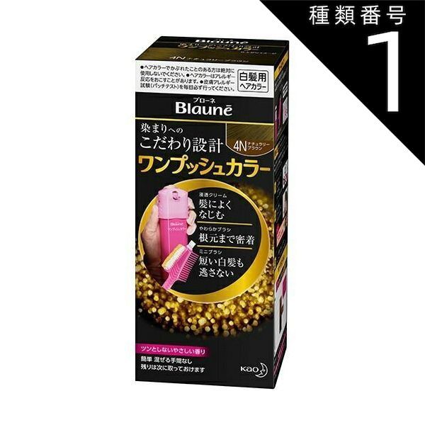 種類1：10個   まとめ買い 花王 ブローネ ワンプッシュカラー 4N ナチュラリーブラウン 80g