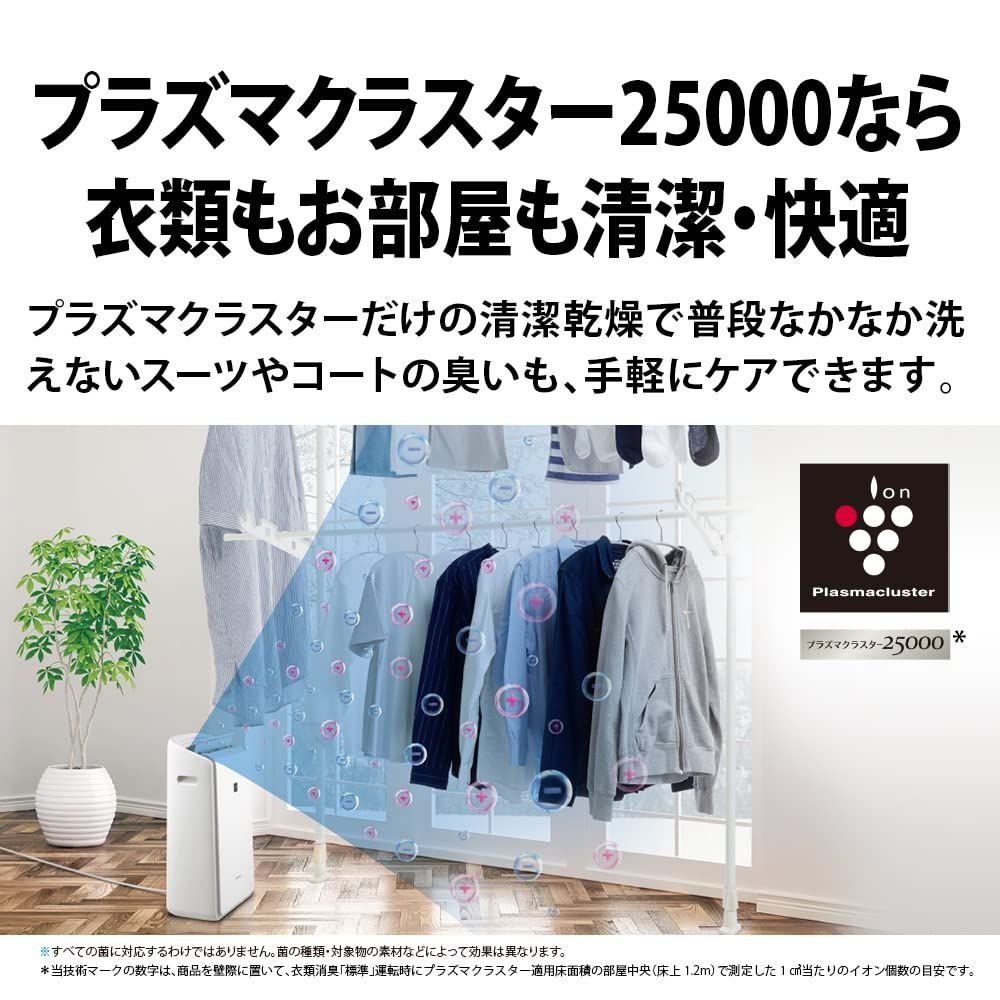 12畳