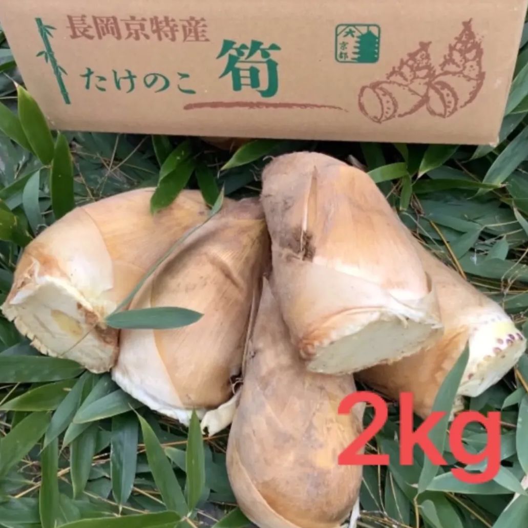 京都 長岡京 白子たけのこ 2kg - メルカリ