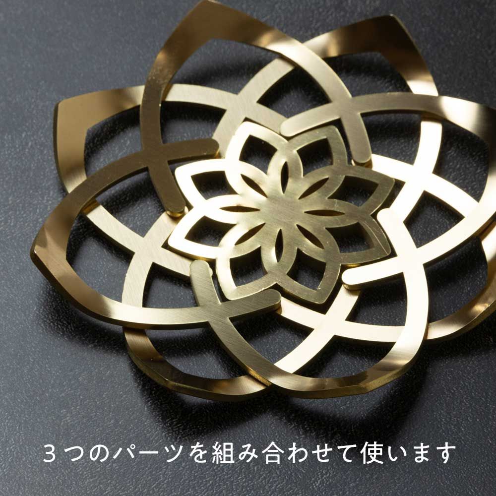 かねよし×共立女子大学コラボ作品