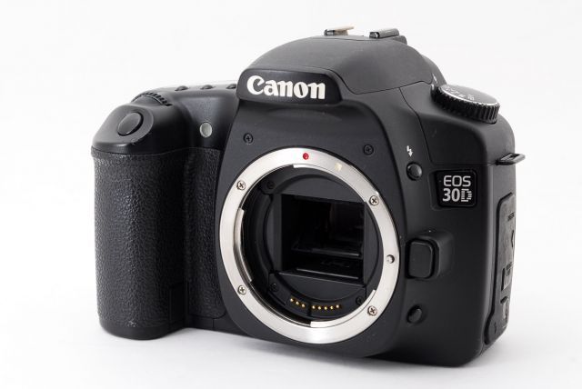 キヤノン Canon EOS 30D ダブルズームセット 美品 ストラップ
