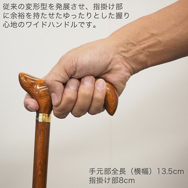 ‐