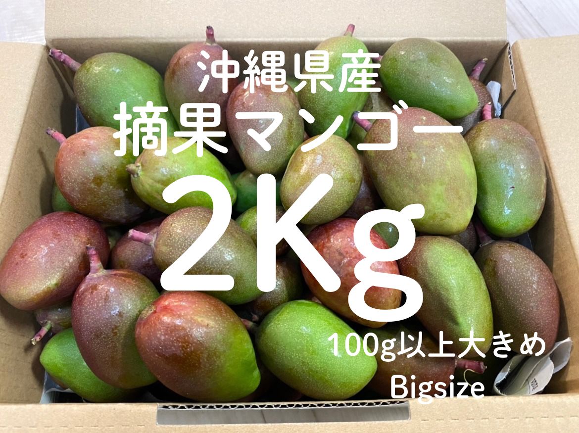 沖縄摘果マンゴー 2kg (100g以上) 送料無料 - メルカリ