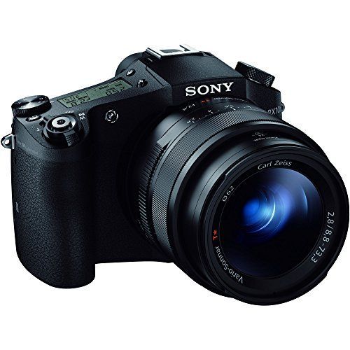 ソニー デジタルカメラ DSC-RX10M2 ズーム全域F2.8 24-200mm 光学8.3倍  