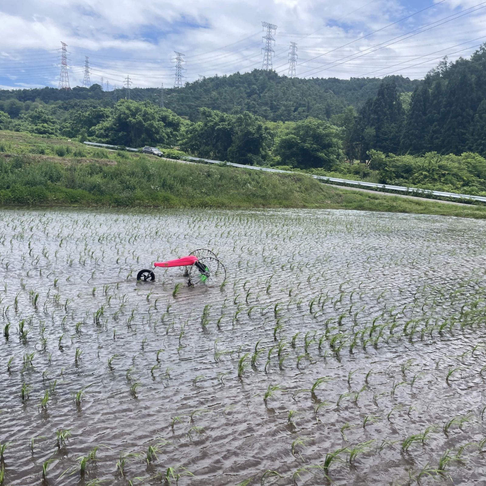 新米R6年産】長野県松本カメノオ(自然栽培・転換2年目)玄米140
