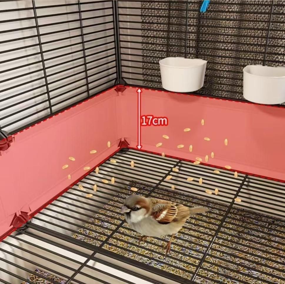 カナリア オカメインコ