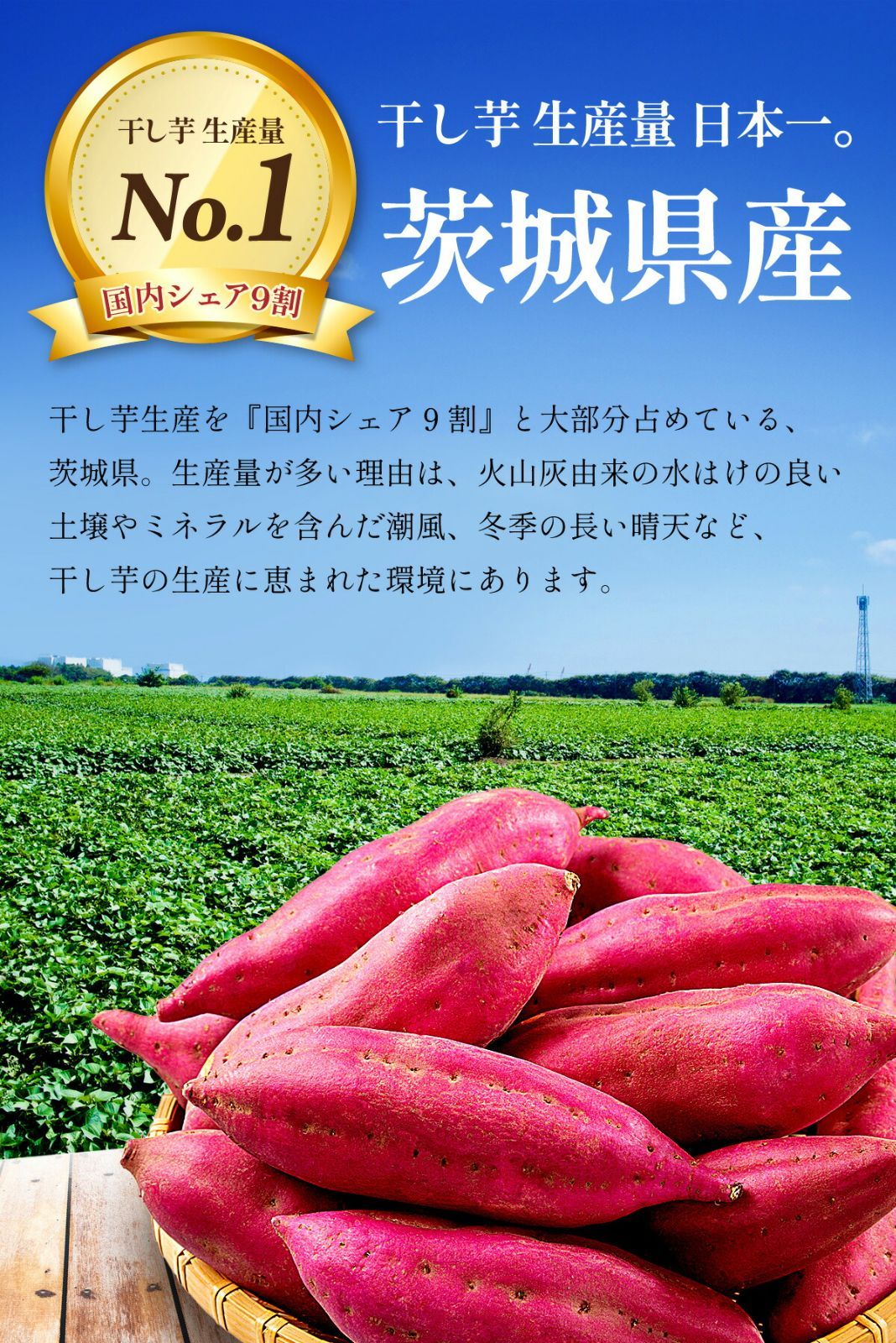 【無添加】【訳あり/形不揃い】茨城県産【熟成】紅はるか使用！無添加 干し芋 230g　干しいも　ほしいも【祖の食庵】【甲羅組】メール便