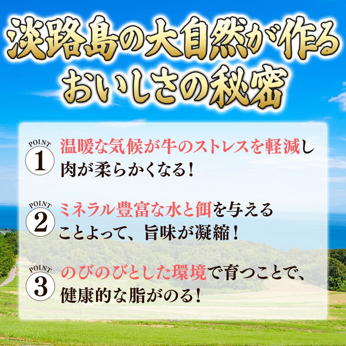 送料無料！毎月数量限定！淡路牛ロース1キロ