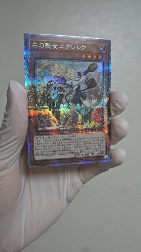 遊 戯 王 エクレシア ナクコンパ市 シラー コナラ