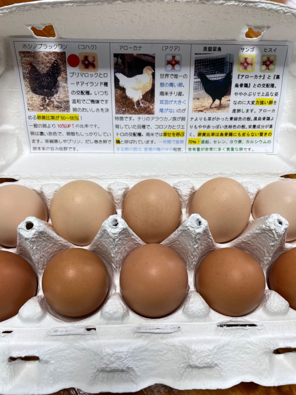 たまご Amazon | キタコ(KITACO) WPCクラッチセンタースプリング ジョグ