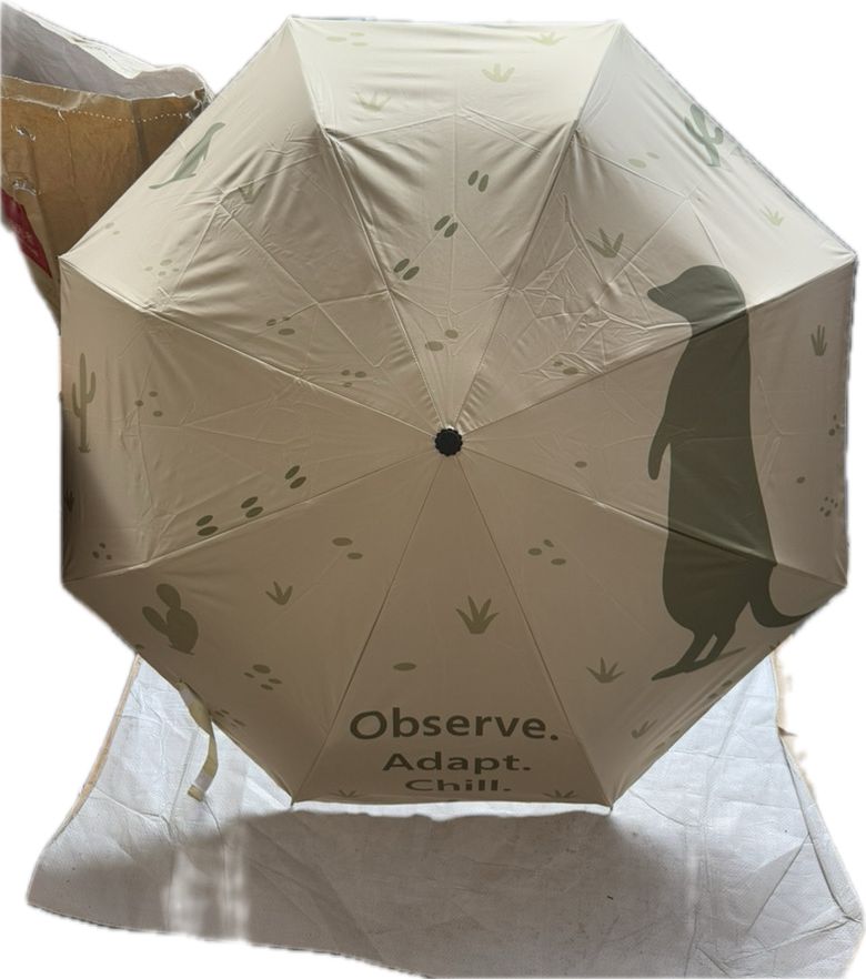 まさKING様用】APIA 小売 FoojinANGELSHOOTER 96M 美品 まさKING様用