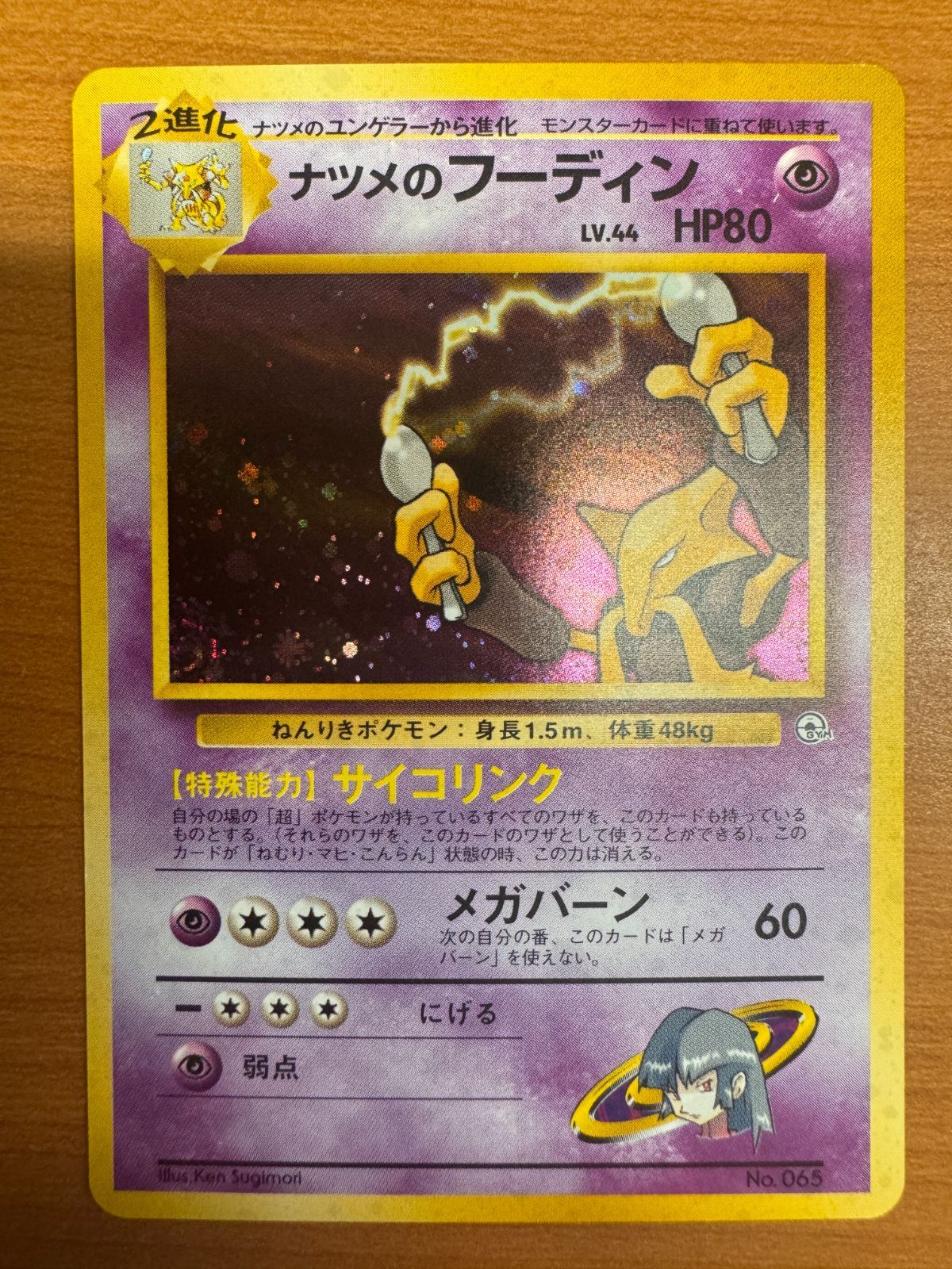 貴重】ヤマブキシティジム：ナツメ ポケモンジムシリーズ No 5