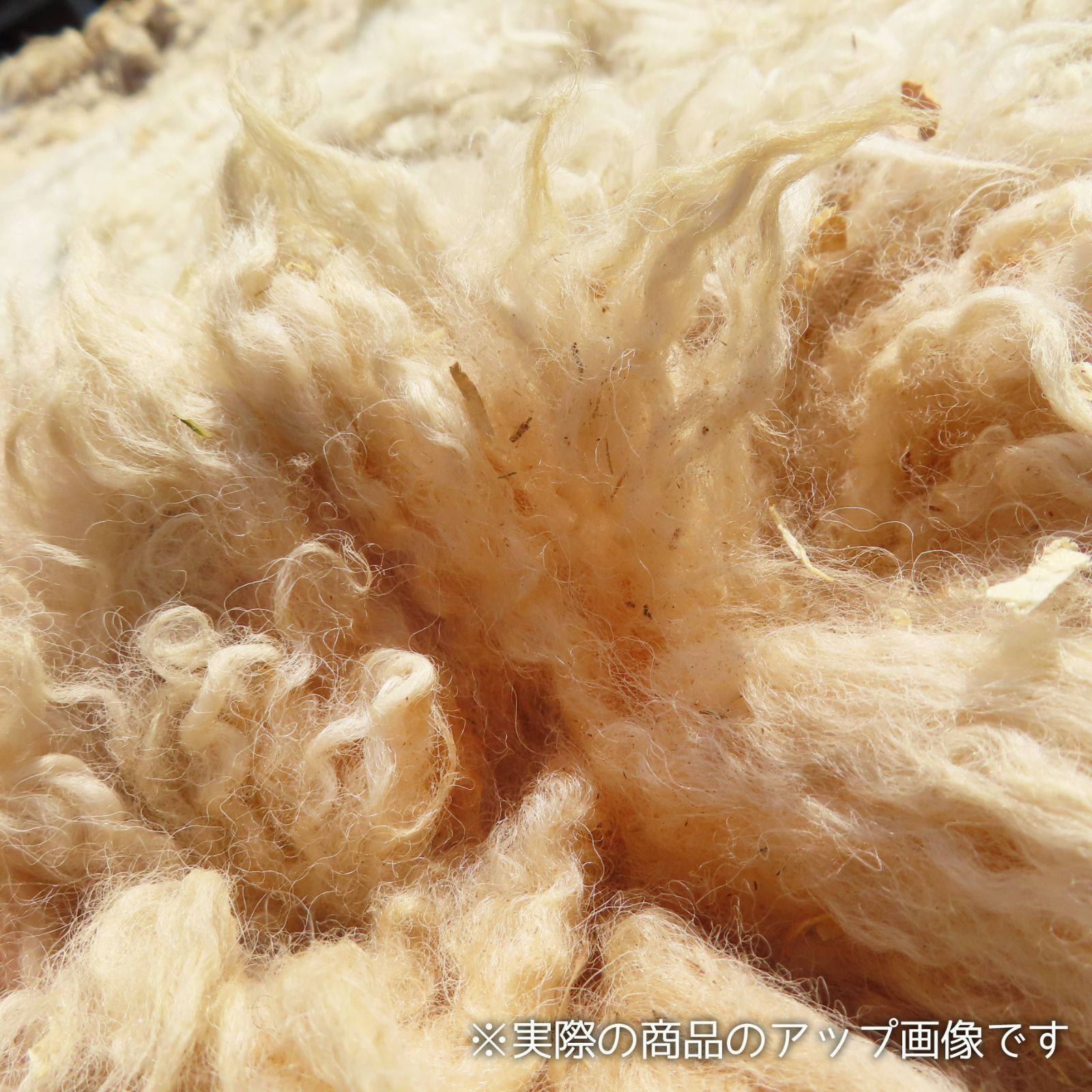 国産羊毛 コリデール 未洗い原毛 約1頭分 約2キロ - メルカリ