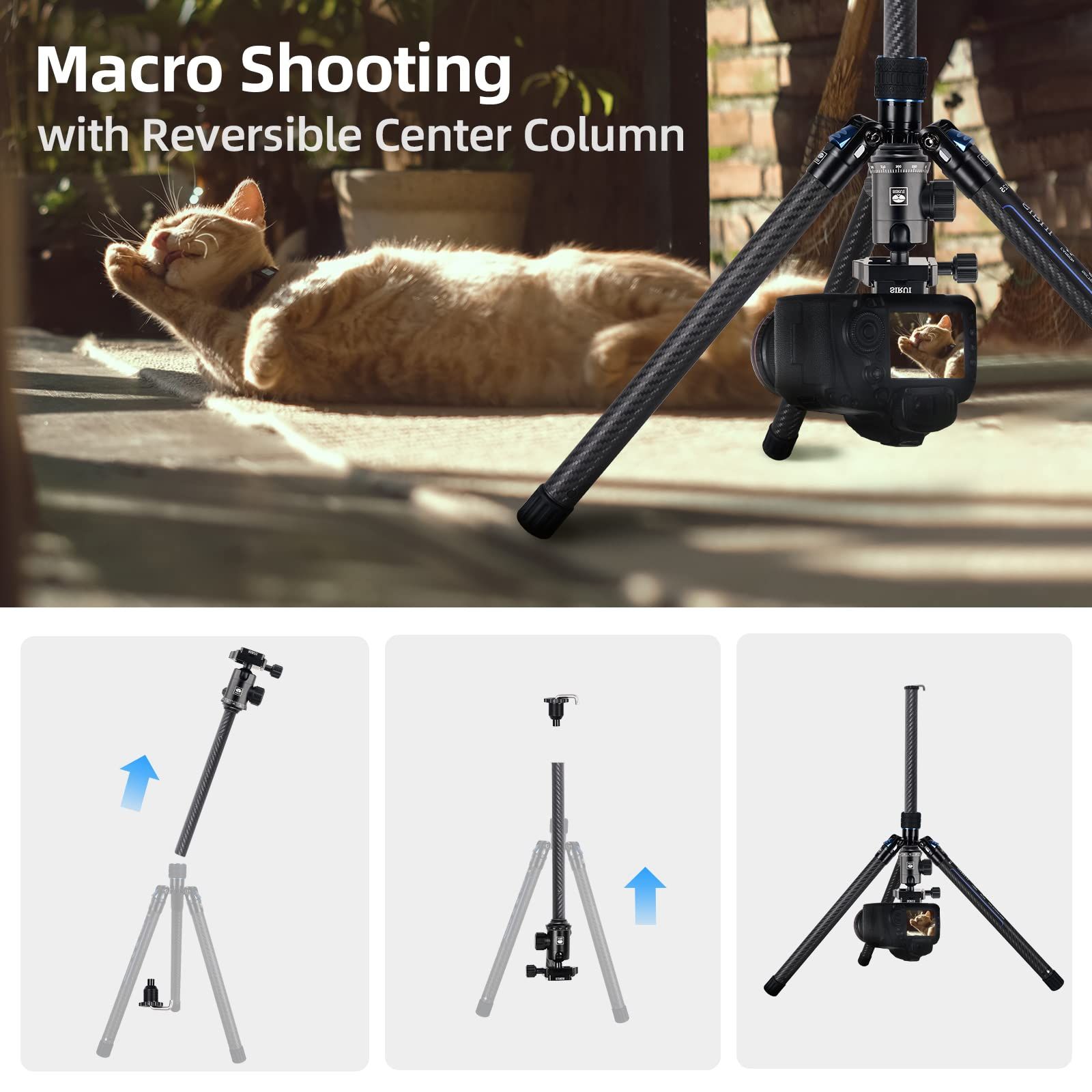 コンパクト カメラ三脚