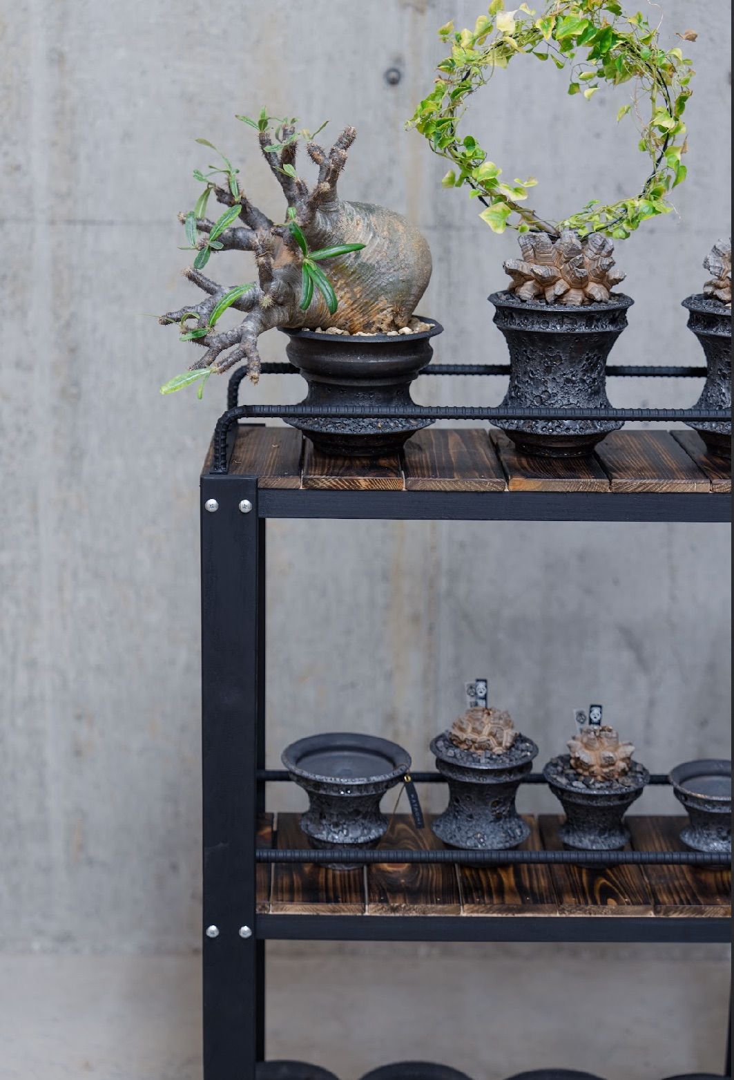 男前インテリア　植物育成棚　多肉植物　ラック　棚　耐水性あり　108 男前インテリア 植物育成棚 多肉植物 ラック 棚 耐水性あり 108