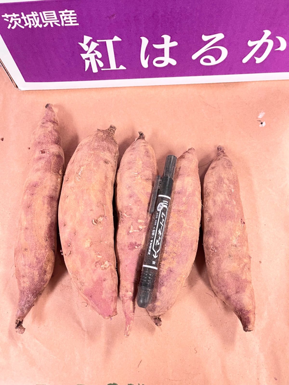 トラスト 茨城県産紅はるか さつまいも SM混合サイズ 10kg 焼き芋