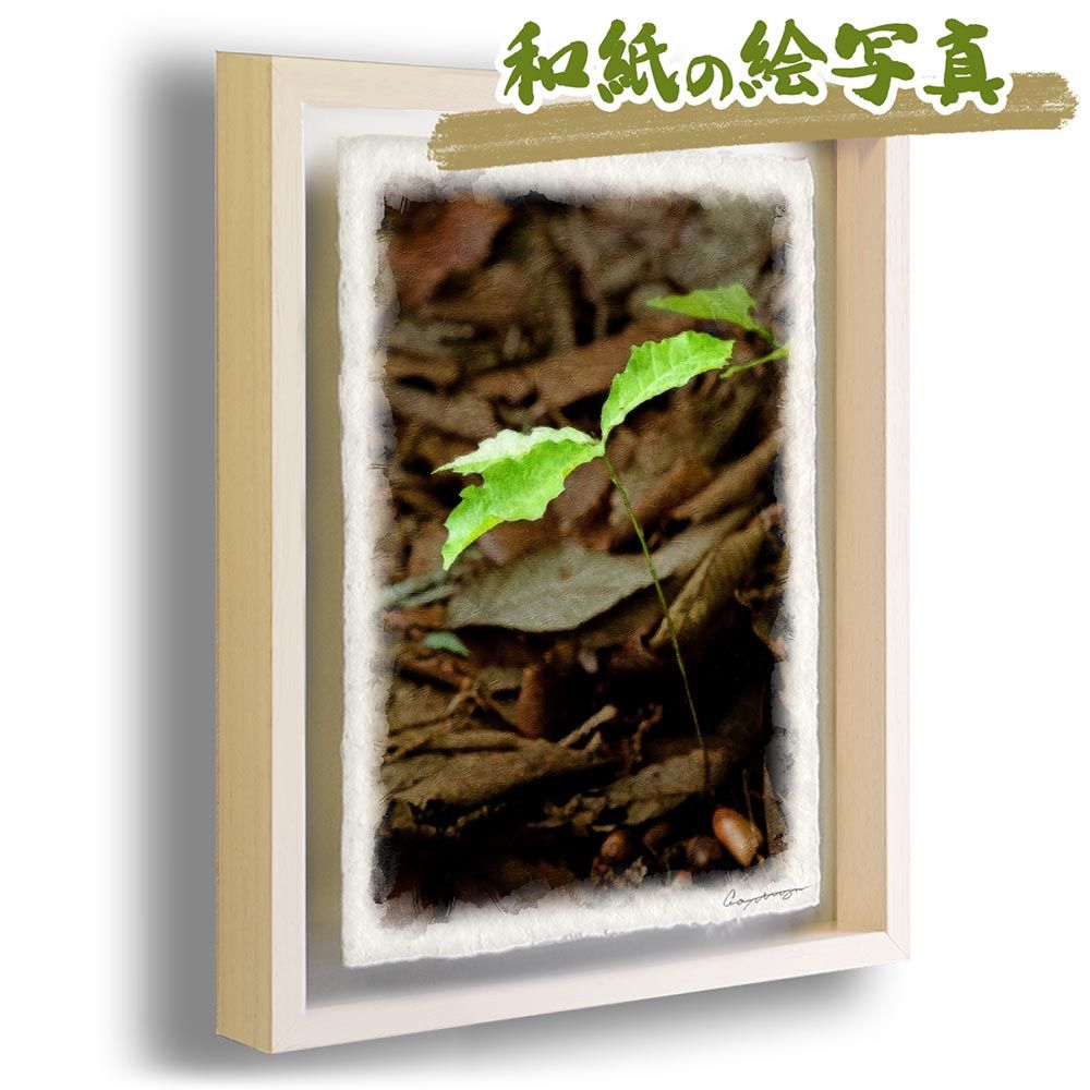 アクリル表札】ぶどう園ステンド＊4辺45度面取り鏡面磨き＊1㎜単位