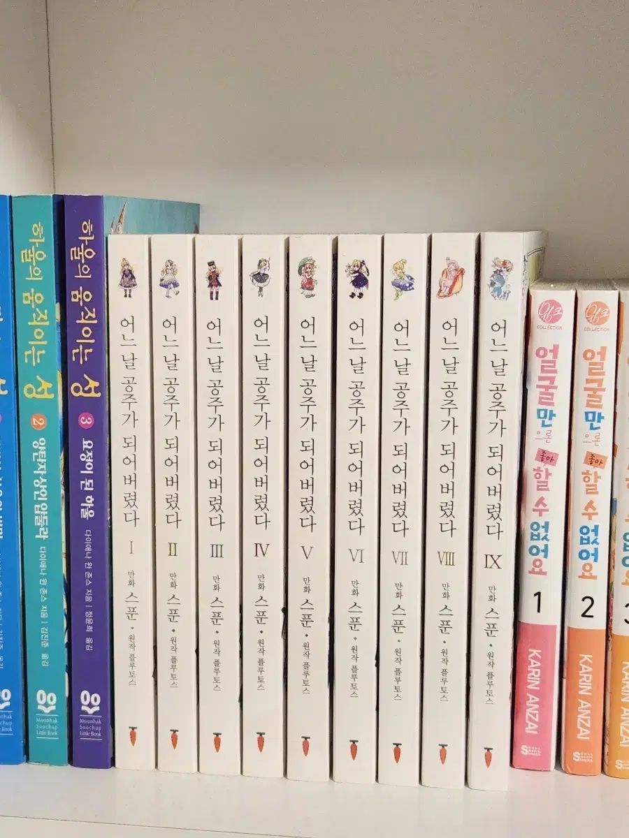 ある日、お姫様になってしまった件について 1 9 (フルボリューム