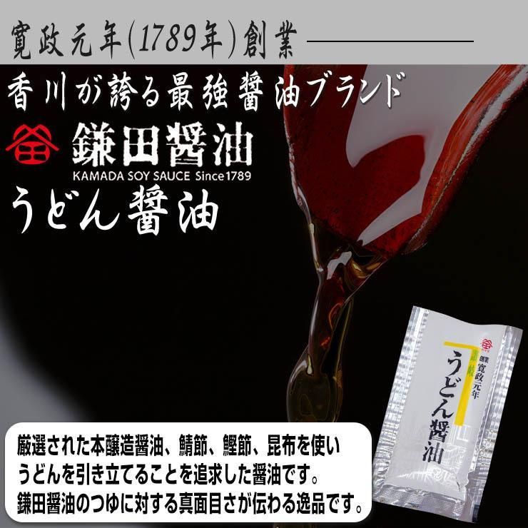 20時間熟成 半生 並麺 讃岐うどん つゆ付きセット 便利な個包装 750g 送料無料　A36