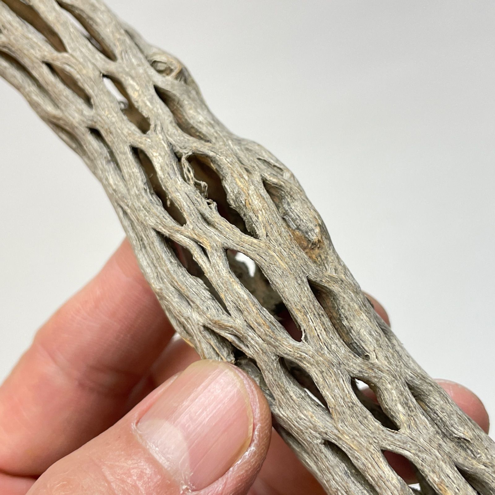 鳥用品　カクタス　スケルトン　パーチ　おまとめNo.212、No.133 fit=scale-down,w=1200
