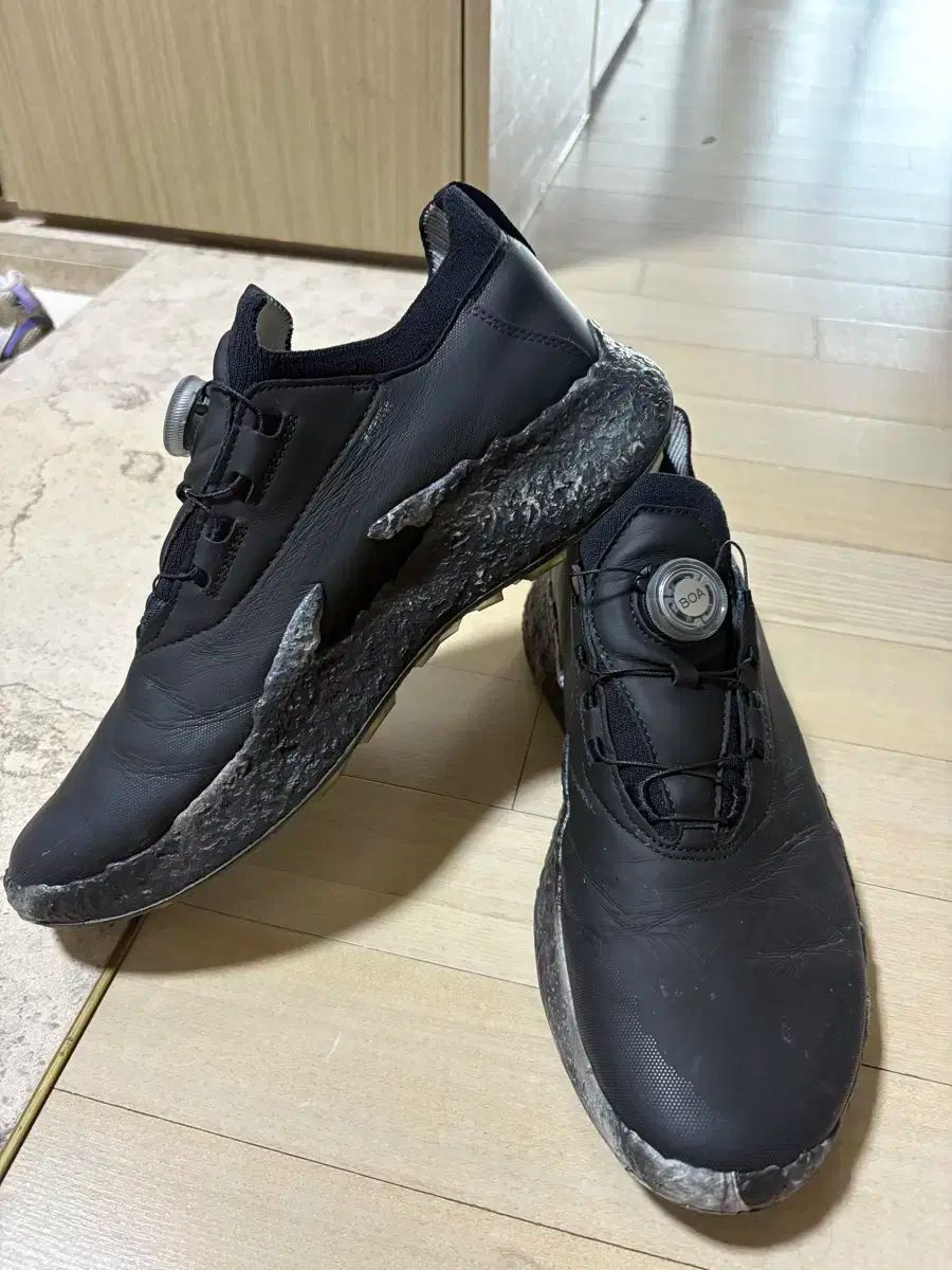 Ecco エコー バイオム 2025 年 ゴルフシューズ 275 280