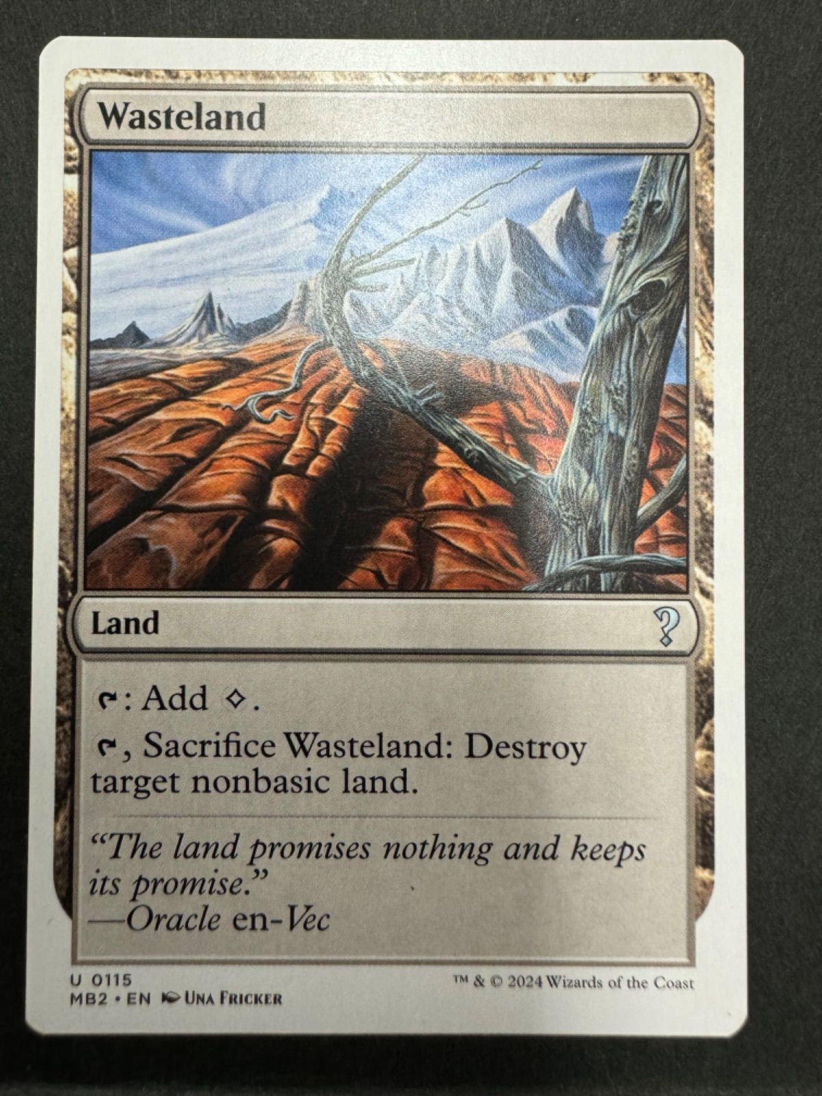 不毛の大地 白枠 MB2 英語版 2枚 MTG 不毛の大地 白枠 MB2 英語版 - マジック：ザ・ギャザリング