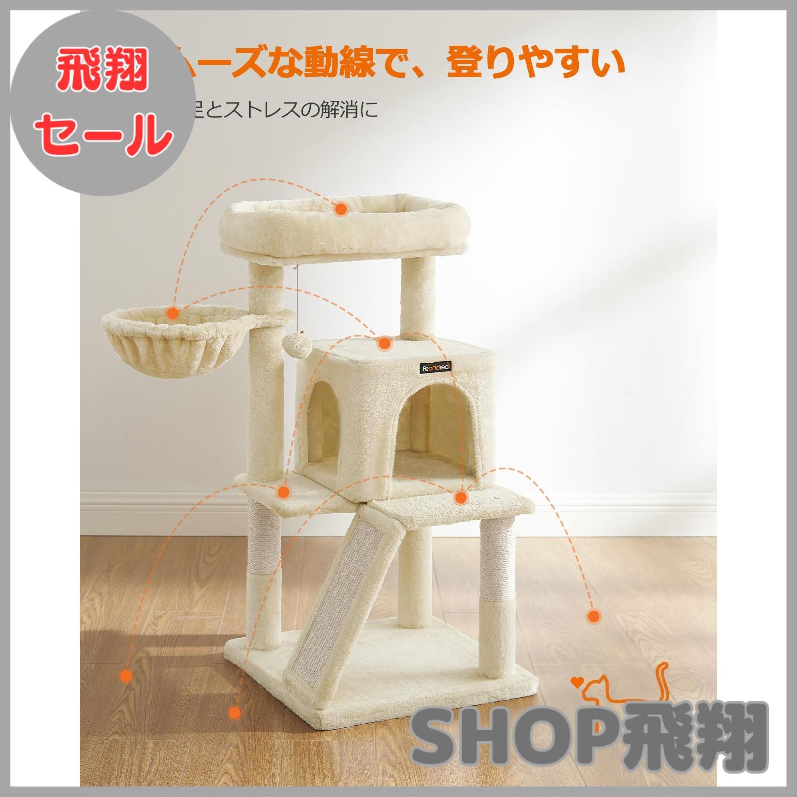 大型猫