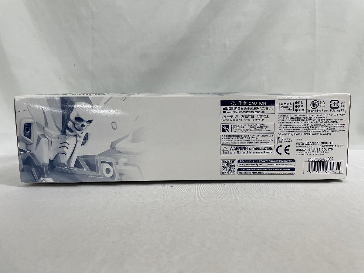 RG 1 144 クロスボーン ガンダムX1 チタニウムフィニッシュ
