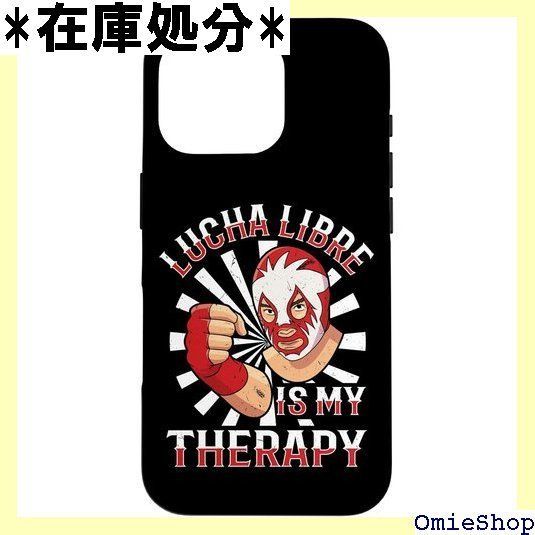 メキシコプロレス 2024 レスラー ルチャリブレ マスク メキシコ