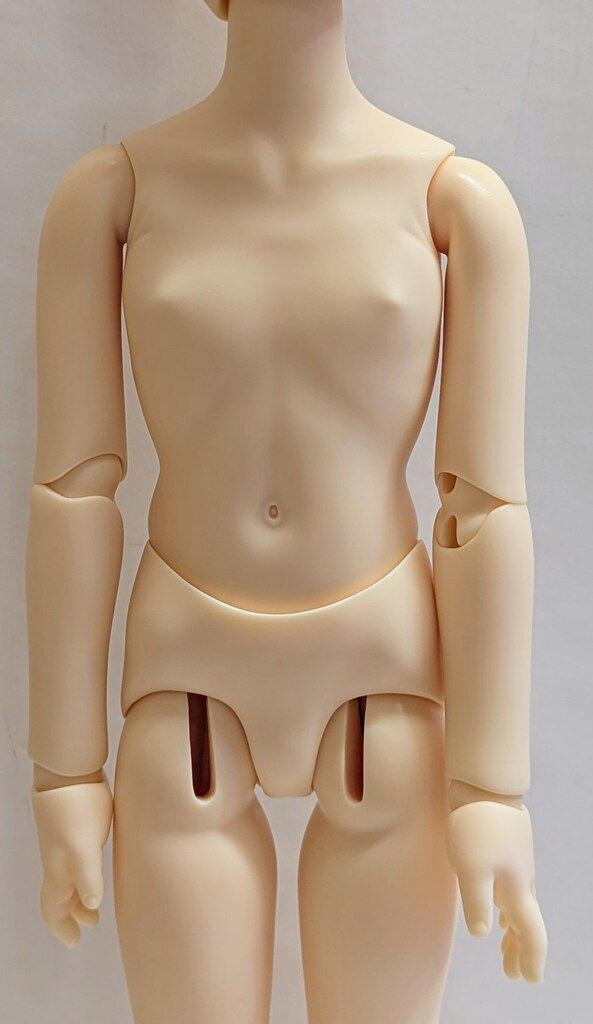 SDM女の子 コーディネートモデル