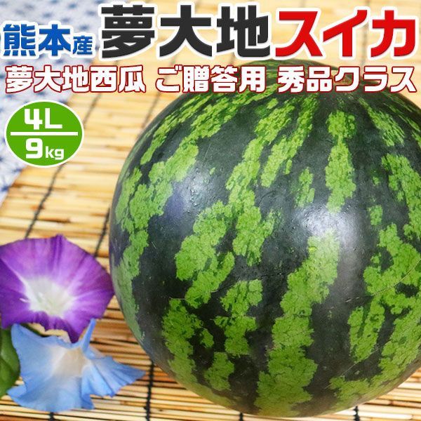 熊本産 夢大地 すいか 秀品 4Lサイズ 9kg 1玉入 スイカ 熊本県産西瓜 贈答用 母の日 父の日 プレゼント フルーツ 果物 お中元 ギフト すいかギフト 西瓜