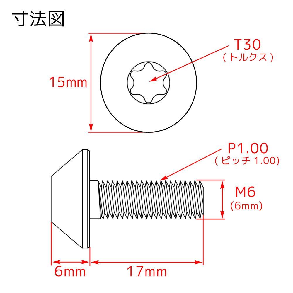 低価, SALE M6×17 P1.00 チタンボルト ブレーキディスクボルト 10本セット 6mm 17mm ピッチ1.0 シルバー チタン合金 Ti-6Al-4V 64チタン 焼き色なし CB1300 CB1100