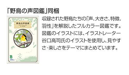 プラスチック枠 リズムRHYTHM 掛け時計 電波 アナログ 連続秒針 野鳥の